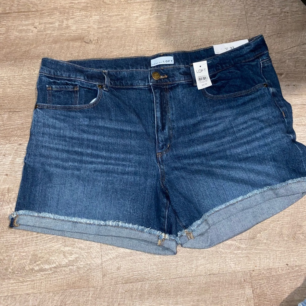 Loft NWT size 16 shorts